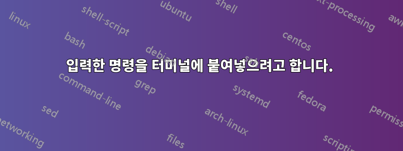입력한 명령을 터미널에 붙여넣으려고 합니다.