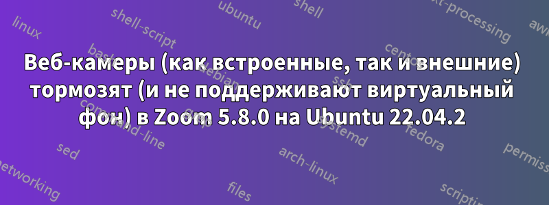Веб-камеры (как встроенные, так и внешние) тормозят (и не поддерживают виртуальный фон) в Zoom 5.8.0 на Ubuntu 22.04.2