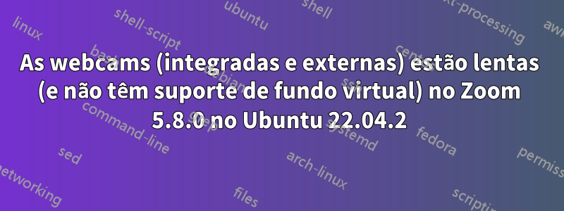 As webcams (integradas e externas) estão lentas (e não têm suporte de fundo virtual) no Zoom 5.8.0 no Ubuntu 22.04.2