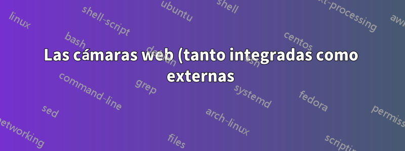 Las cámaras web (tanto integradas como externas) tienen retrasos (y no tienen soporte de fondo virtual) en Zoom 5.8.0 en Ubuntu 22.04.2