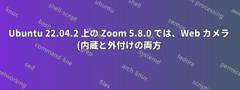 Ubuntu 22.04.2 上の Zoom 5.8.0 では、Web カメラ (内蔵と外付けの両方) の動作が遅くなります (仮想背景はサポートされていません)。