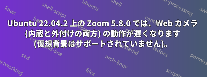 Ubuntu 22.04.2 上の Zoom 5.8.0 では、Web カメラ (内蔵と外付けの両方) の動作が遅くなります (仮想背景はサポートされていません)。