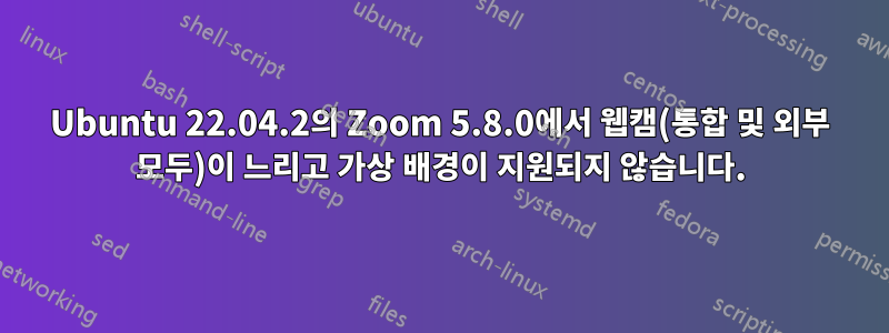 Ubuntu 22.04.2의 Zoom 5.8.0에서 웹캠(통합 및 외부 모두)이 느리고 가상 배경이 지원되지 않습니다.