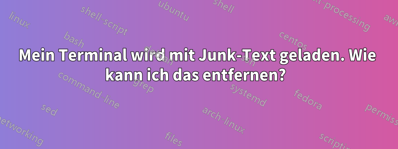 Mein Terminal wird mit Junk-Text geladen. Wie kann ich das entfernen? 
