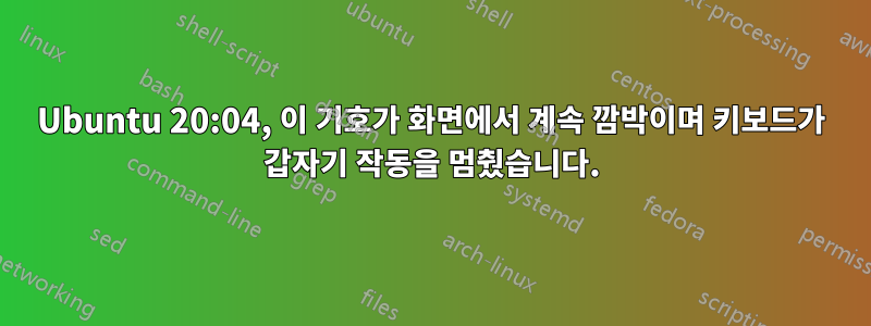 Ubuntu 20:04, 이 기호가 화면에서 계속 깜박이며 키보드가 갑자기 작동을 멈췄습니다.