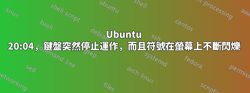 Ubuntu 20:04，鍵盤突然停止運作，而且符號在螢幕上不斷閃爍