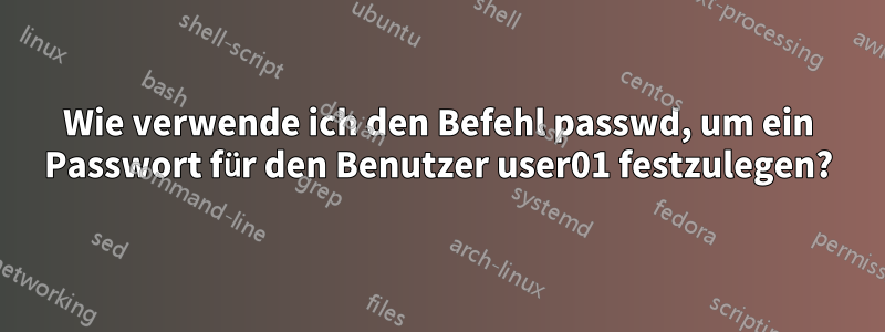 Wie verwende ich den Befehl passwd, um ein Passwort für den Benutzer user01 festzulegen?