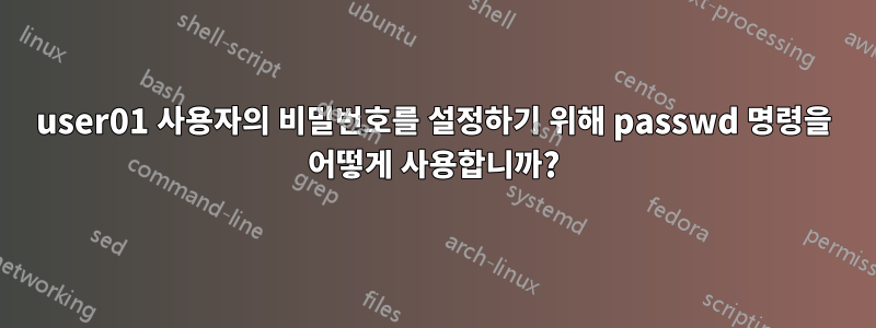 user01 사용자의 비밀번호를 설정하기 위해 passwd 명령을 어떻게 사용합니까?