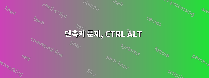 단축키 문제, CTRL ALT