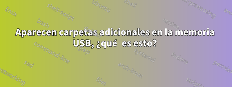 Aparecen carpetas adicionales en la memoria USB, ¿qué es esto?