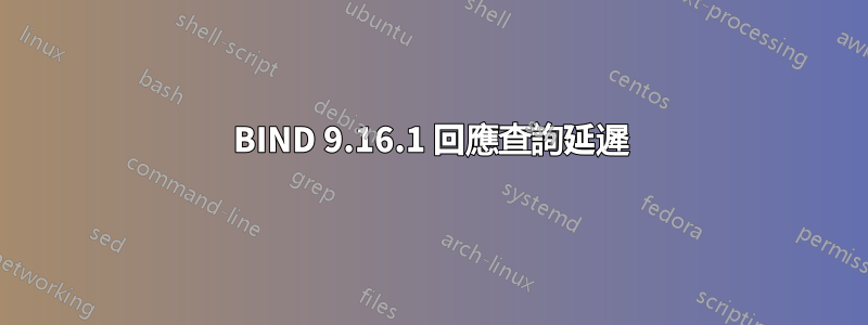 BIND 9.16.1 回應查詢延遲