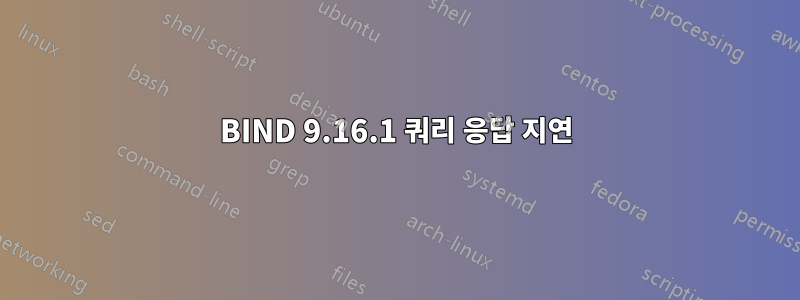 BIND 9.16.1 쿼리 응답 지연
