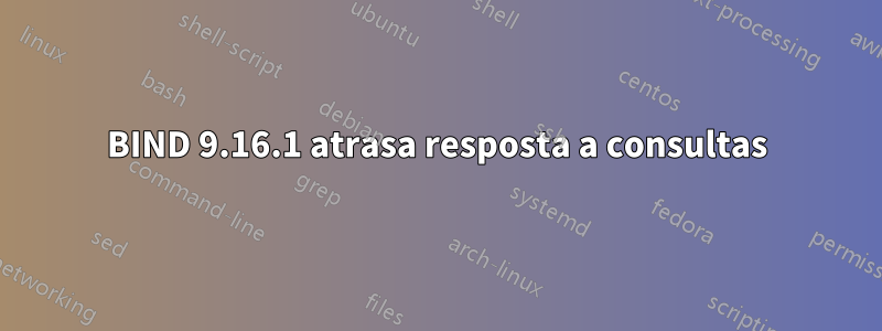 BIND 9.16.1 atrasa resposta a consultas