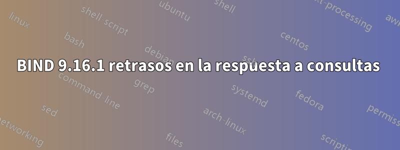BIND 9.16.1 retrasos en la respuesta a consultas