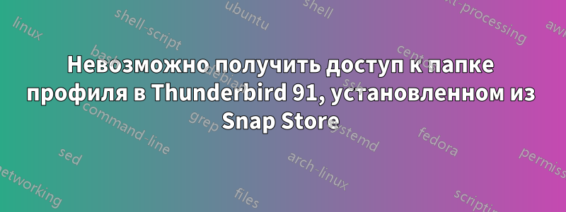 Невозможно получить доступ к папке профиля в Thunderbird 91, установленном из Snap Store