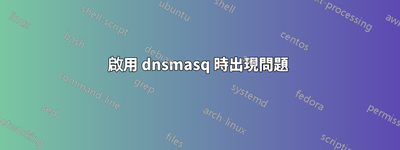 啟用 dnsmasq 時出現問題