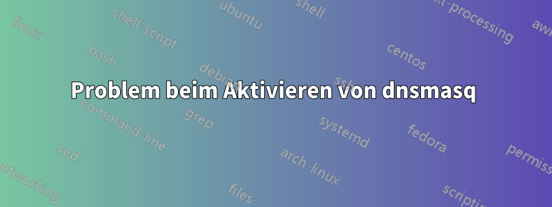 Problem beim Aktivieren von dnsmasq