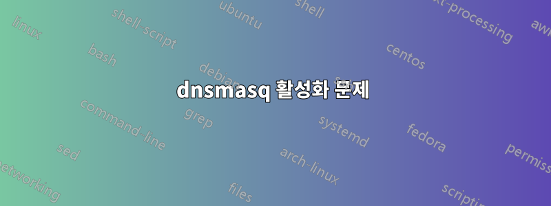 dnsmasq 활성화 문제