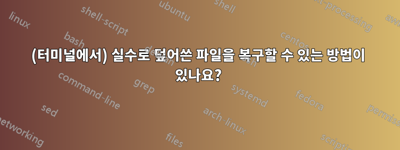 (터미널에서) 실수로 덮어쓴 파일을 복구할 수 있는 방법이 있나요?