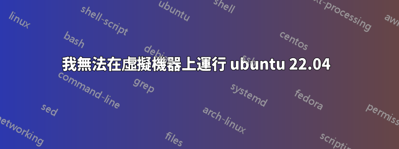 我無法在虛擬機器上運行 ubuntu 22.04 