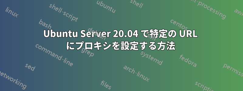 Ubuntu Server 20.04 で特定の URL にプロキシを設定する方法