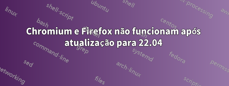 Chromium e Firefox não funcionam após atualização para 22.04