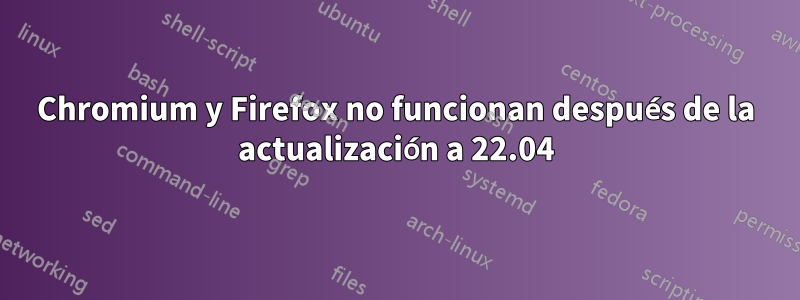 Chromium y Firefox no funcionan después de la actualización a 22.04