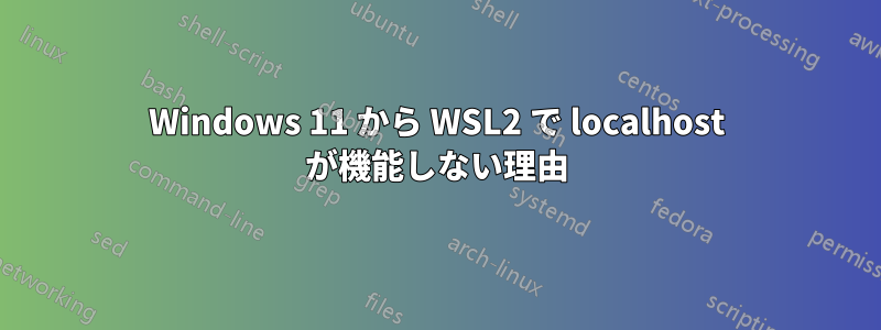 Windows 11 から WSL2 で localhost が機能しない理由