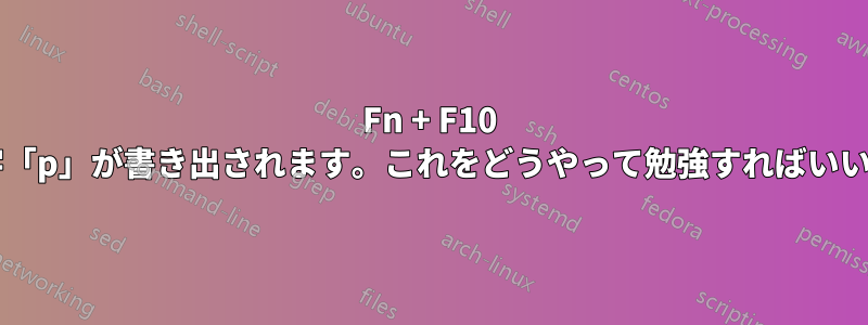 Fn + F10 を押すと文字「p」が書き出されます。これをどうやって勉強すればいいでしょうか?