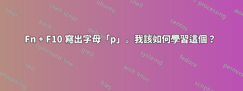 Fn + F10 寫出字母「p」。我該如何學習這個？