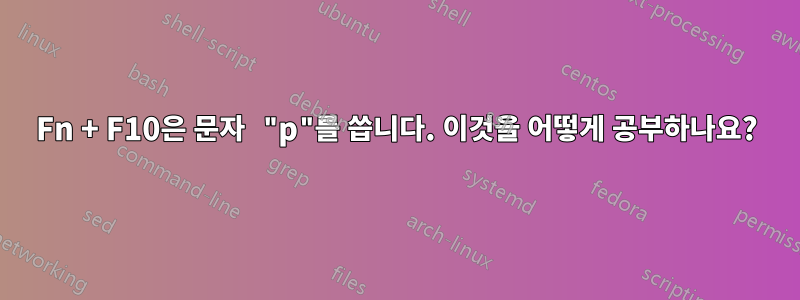 Fn + F10은 문자 "p"를 씁니다. 이것을 어떻게 공부하나요?