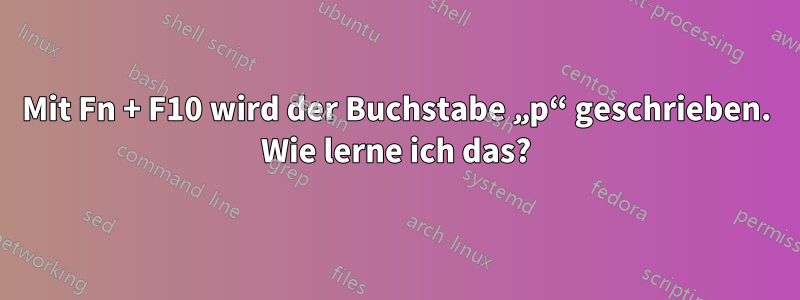 Mit Fn + F10 wird der Buchstabe „p“ geschrieben. Wie lerne ich das?