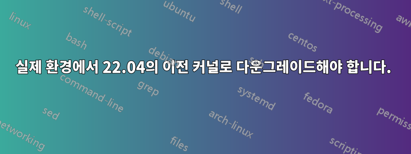 실제 환경에서 22.04의 이전 커널로 다운그레이드해야 합니다.