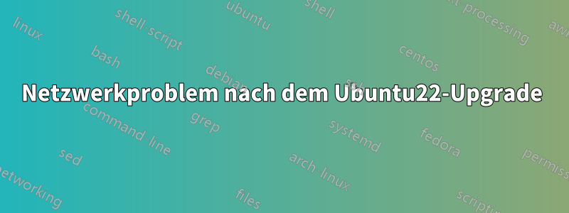 Netzwerkproblem nach dem Ubuntu22-Upgrade