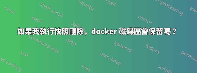 如果我執行快照刪除，docker 磁碟區會保留嗎？