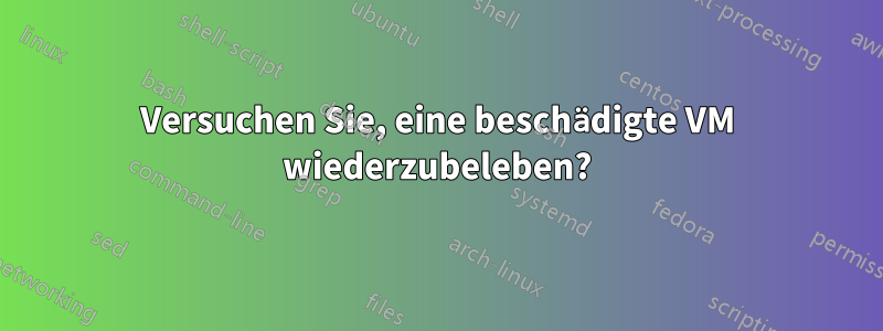 Versuchen Sie, eine beschädigte VM wiederzubeleben?