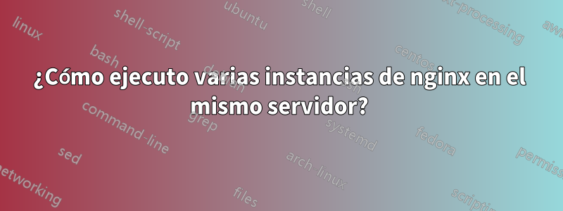 ¿Cómo ejecuto varias instancias de nginx en el mismo servidor?