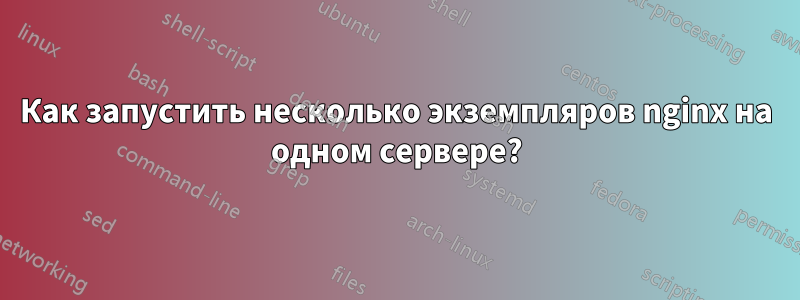 Как запустить несколько экземпляров nginx на одном сервере?