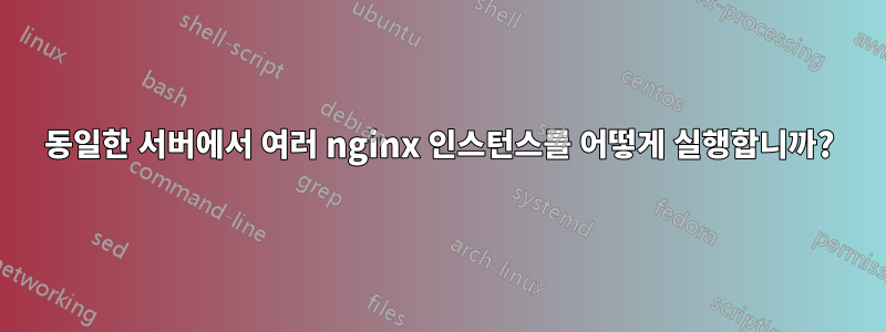 동일한 서버에서 여러 nginx 인스턴스를 어떻게 실행합니까?