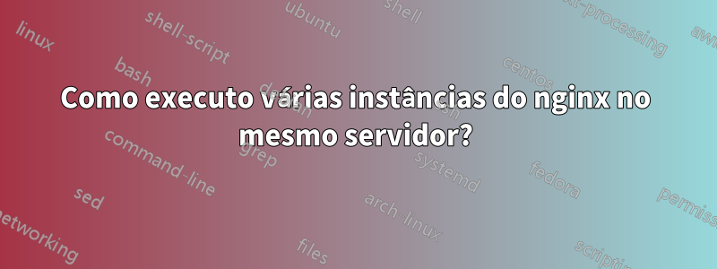 Como executo várias instâncias do nginx no mesmo servidor?