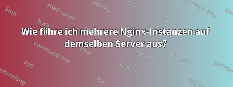 Wie führe ich mehrere Nginx-Instanzen auf demselben Server aus?