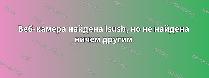 Веб-камера найдена lsusb, но не найдена ничем другим