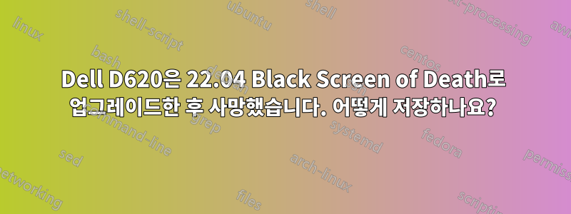 Dell D620은 22.04 Black Screen of Death로 업그레이드한 후 사망했습니다. 어떻게 저장하나요?