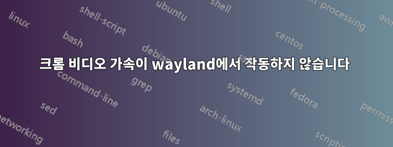 크롬 비디오 가속이 wayland에서 작동하지 않습니다