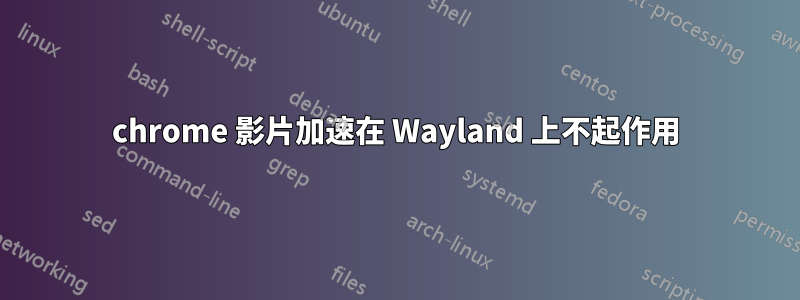 chrome 影片加速在 Wayland 上不起作用