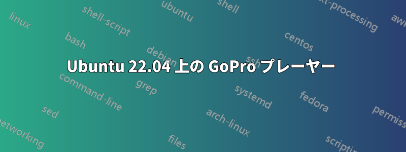 Ubuntu 22.04 上の GoPro プレーヤー