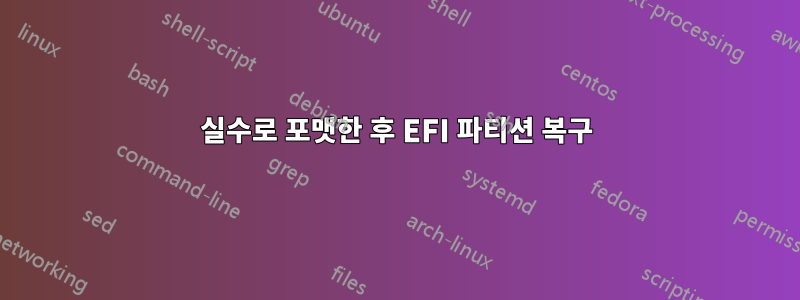 실수로 포맷한 후 EFI 파티션 복구