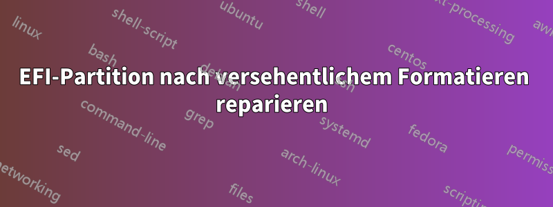 EFI-Partition nach versehentlichem Formatieren reparieren 