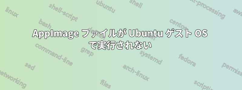 AppImage ファイルが Ubuntu ゲスト OS で実行されない