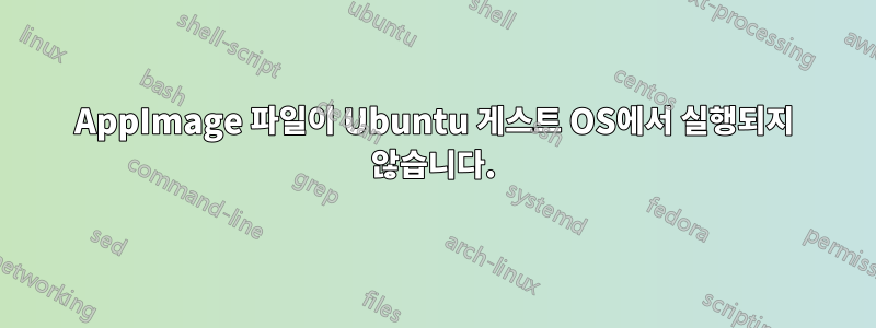 AppImage 파일이 Ubuntu 게스트 OS에서 실행되지 않습니다.